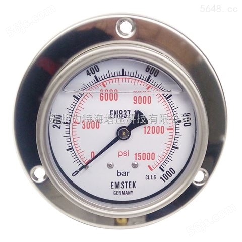 高压压力表TY-2.5规格