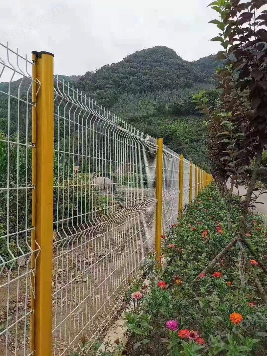 围栏围网生产