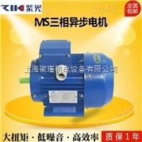 中研技术公司,MS100L-2紫光电机
