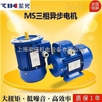 MS5622（0.12KW）ZIK紫光电机